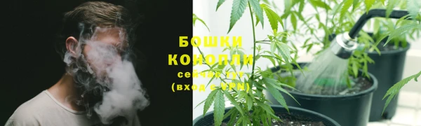 мяу мяу мука Абдулино