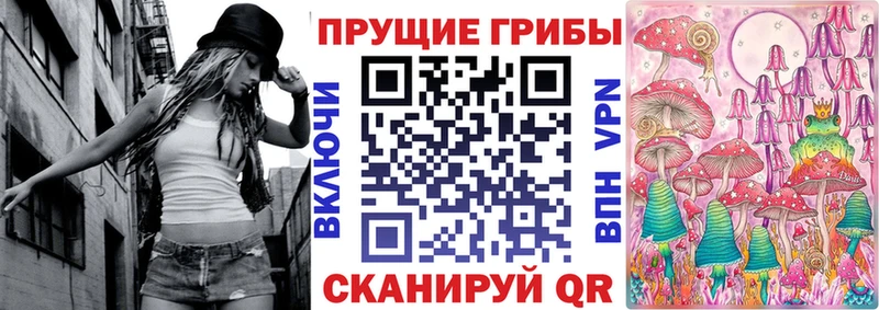 Галлюциногенные грибы Psilocybine cubensis  купить закладку  Щёкино 
